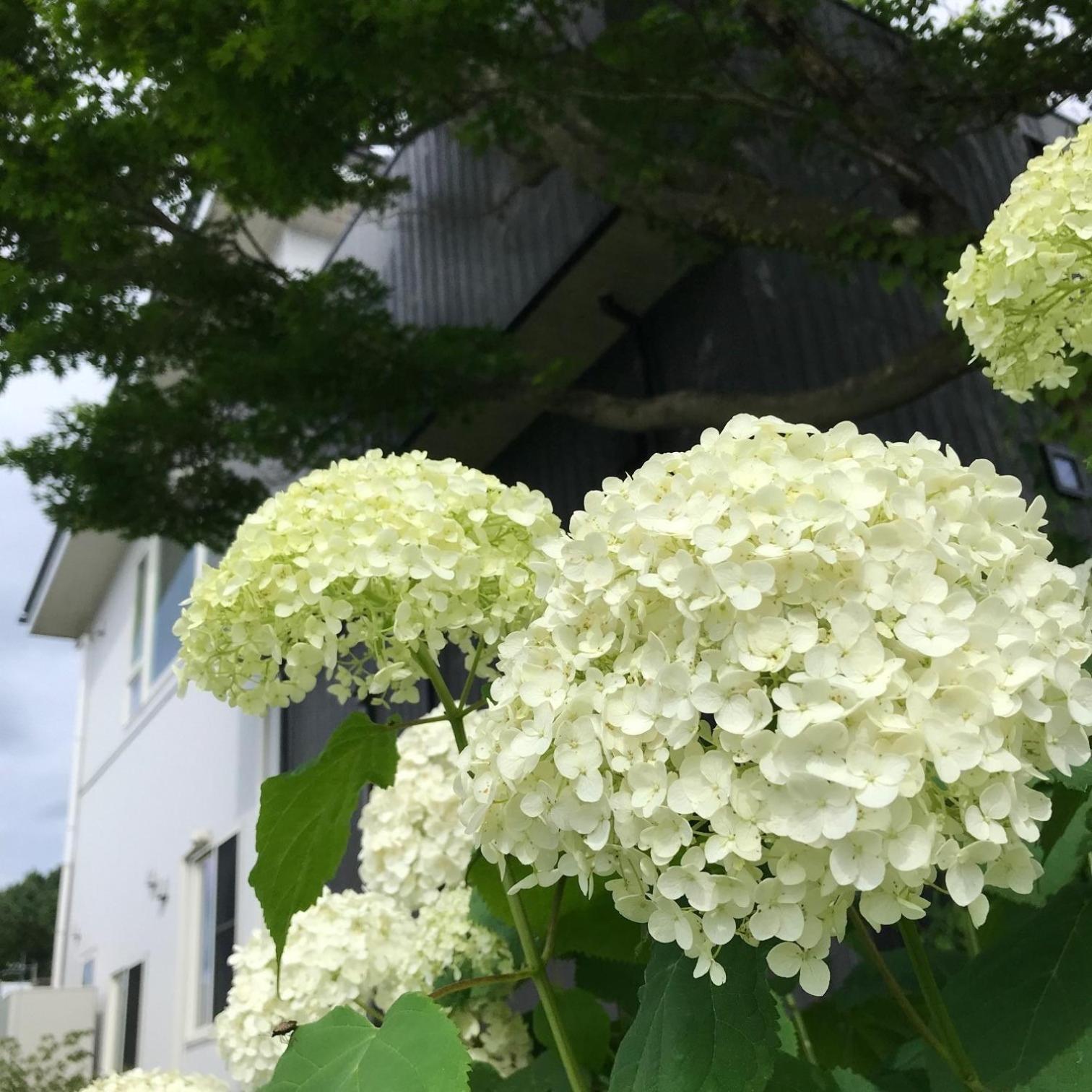 Sweet Villa Takasama - Vacation Stay 11775 Fujiyoshida Esterno foto