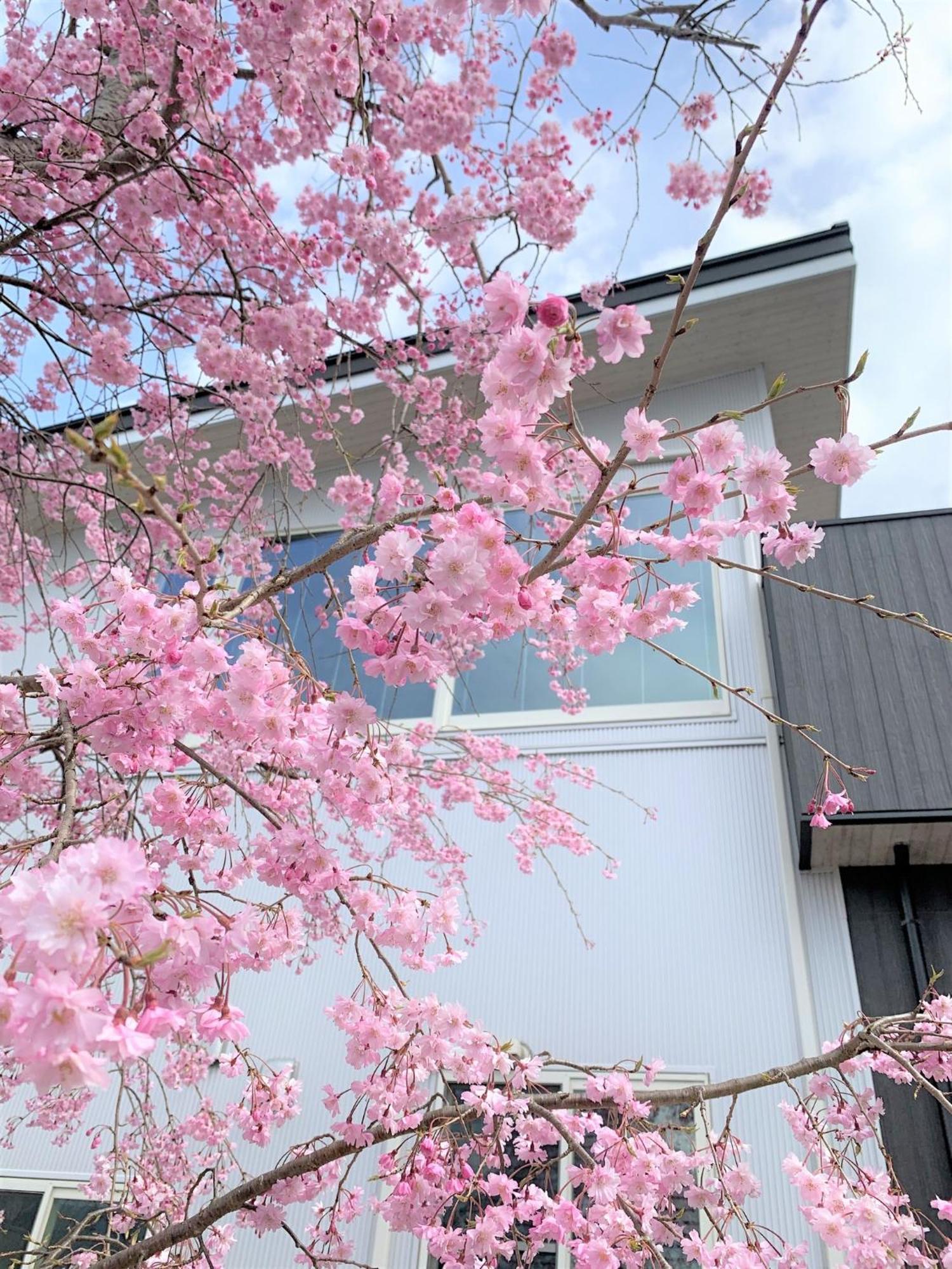 Sweet Villa Takasama - Vacation Stay 11775 Fujiyoshida Esterno foto