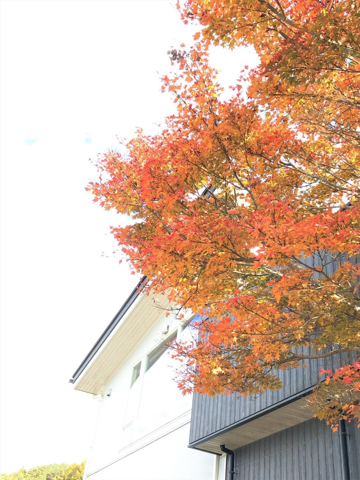 Sweet Villa Takasama - Vacation Stay 11775 Fujiyoshida Esterno foto